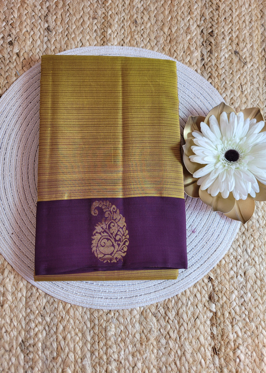 Yellow And Dark Brown Pure Silk Saree - TN