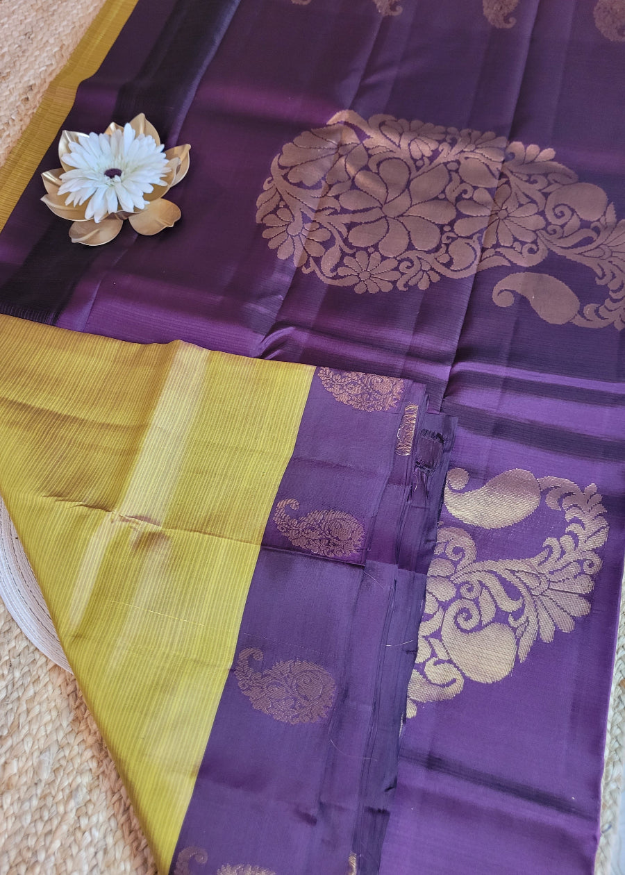 Yellow And Dark Brown Pure Silk Saree - TN