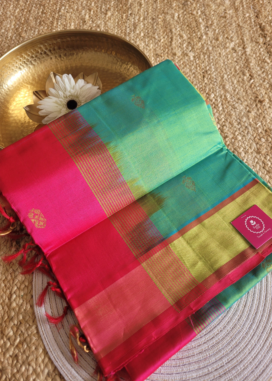 Turquoise Green And Fuchsia Pink Silk Cotton Saree-TN