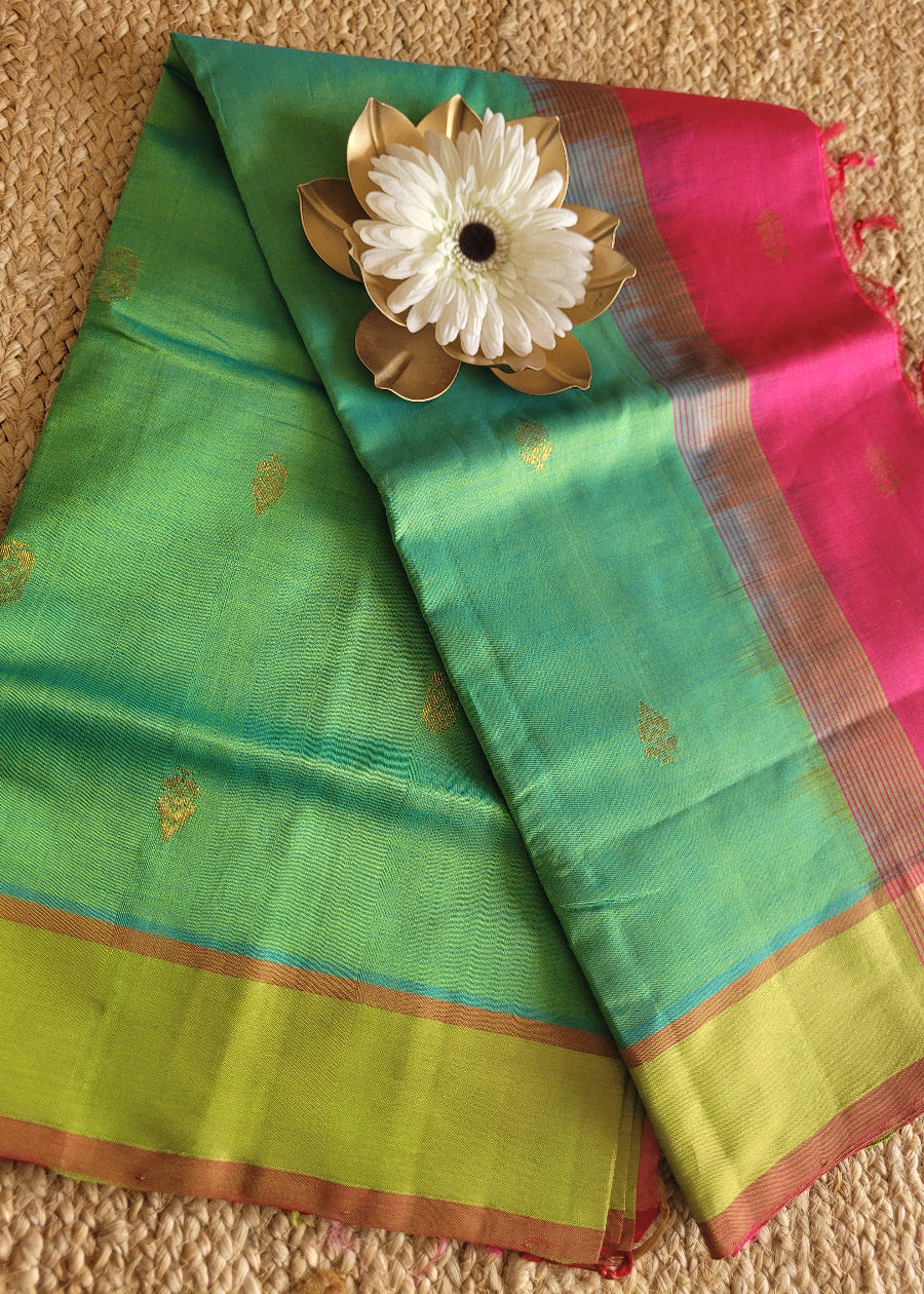 Turquoise Green And Fuchsia Pink Silk Cotton Saree-TN