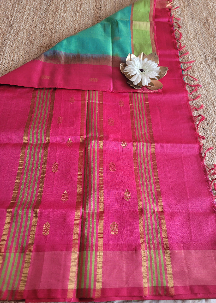 Turquoise Green And Fuchsia Pink Silk Cotton Saree-TN