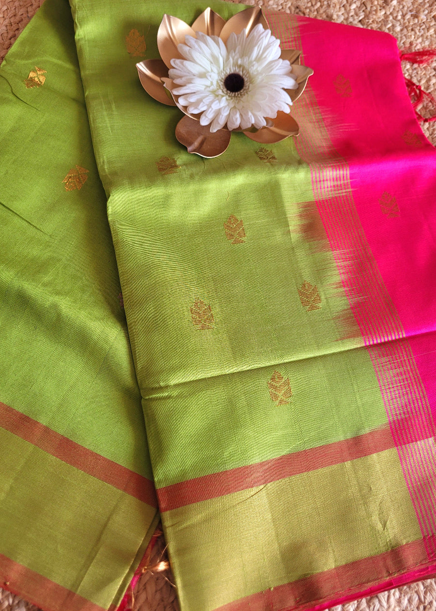 Light Green and  Pink Silk Cotton Saree- TN