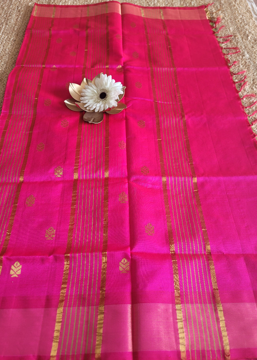 Light Green and  Pink Silk Cotton Saree- TN