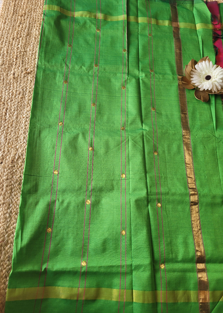 Fuchsia Pink and Leaf Green Silk Cotton Saree-TN