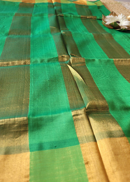 Maroon And Green Silk Cotton Saree- TN