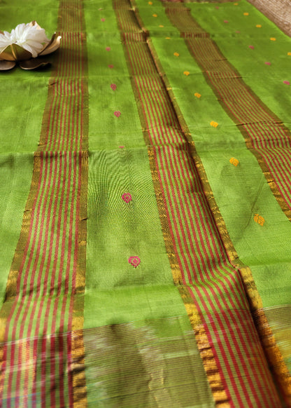 Checked Design Maroon And Leaf Green Silk Cotton Saree- TN