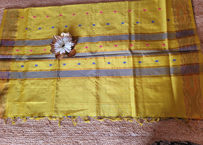 Checked Design Royal Blue And Yellow Silk Cotton Saree-TN