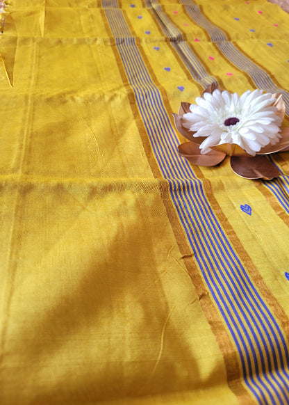 Checked Design Royal Blue And Yellow Silk Cotton Saree-TN