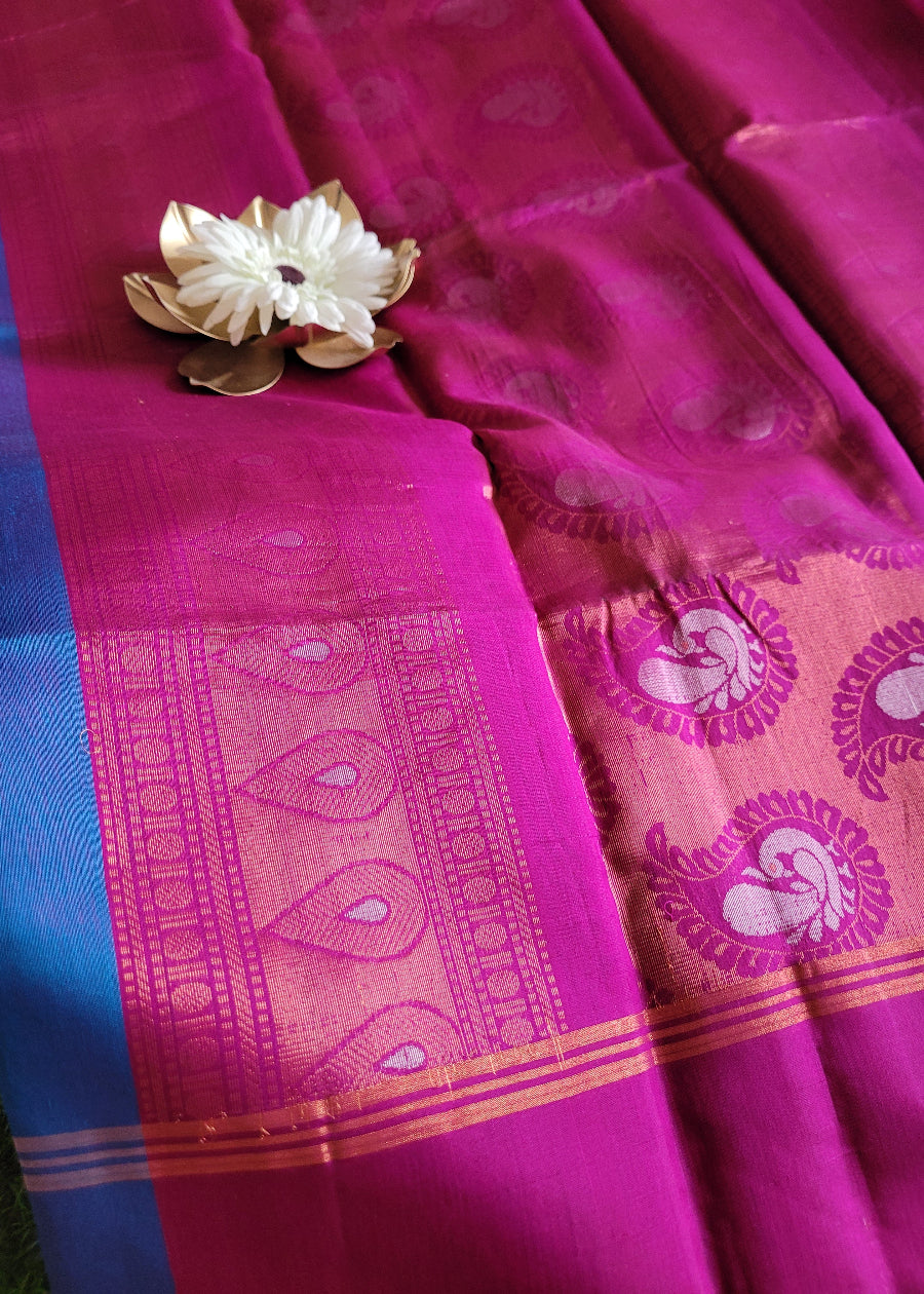 Copper SulphateBlue And Majenta Kora silk Saree- TN
