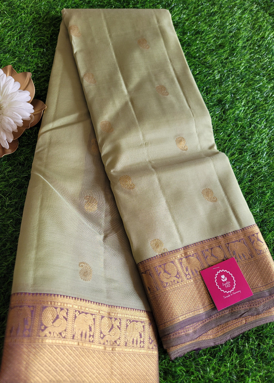 Sage Green And Purple Kancheepuram Silk Saree- TN