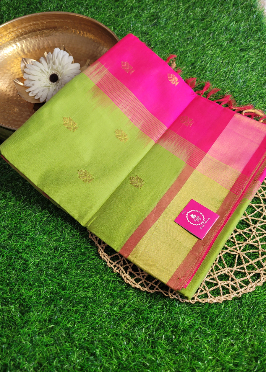 Light Green and  Pink Silk Cotton Saree- TN