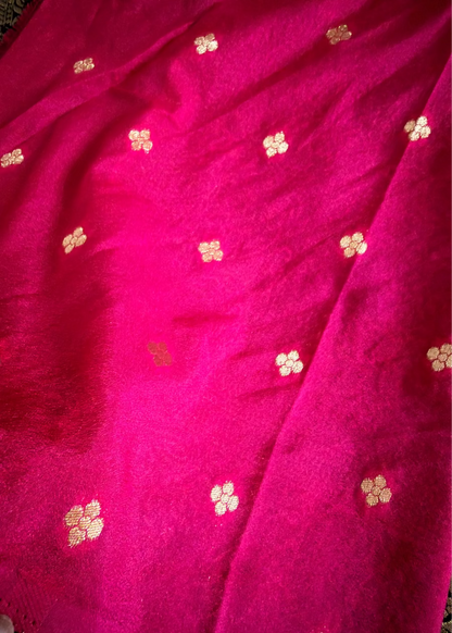 Black and Rani Pink Banarasi Soft Silk Saree - Banaras